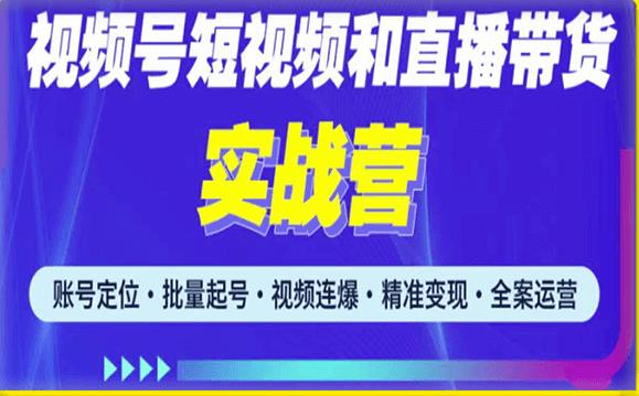 2023最新微信视频号引流和变现全套运营实战课程，小白也能玩转视频号短视频和直播运营 - 副业心选-副业心选