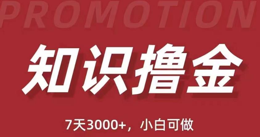 抖音知识撸金项目：简单粗暴日入1000+执行力强当天见收益(教程+资料)-副业心选