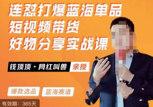 网红叫兽·连怼打爆蓝海单品，短视频带货好物分享实战课 - 副业心选-副业心选