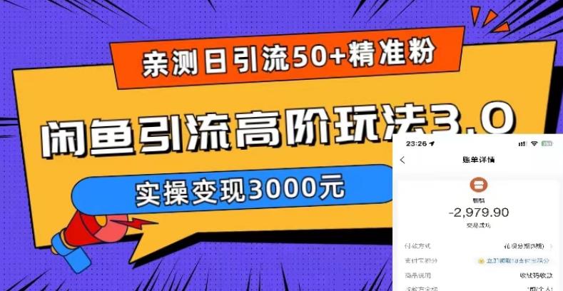 亲测日引50+精准粉，闲鱼引流高阶玩法3.0，实操变现3000元【揭秘】-副业心选