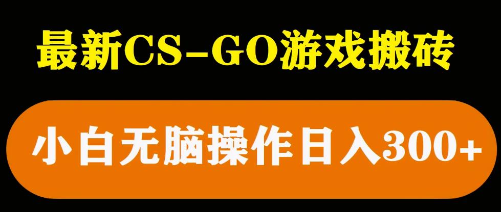 最新csgo游戏搬砖游戏，无需挂机小白无脑也能日入300+-副业心选