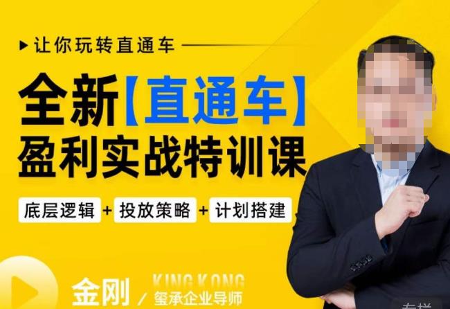 玺承·全新直通车盈利实战特训课，从​底层逻辑详细拆解，从底层，策略到搭建，让你玩转直通车 - 副业心选-副业心选