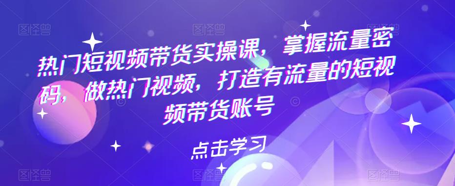热门短视频带货实操课，掌握流量密码，做热门视频，打造有流量的短视频带货账号-副业心选