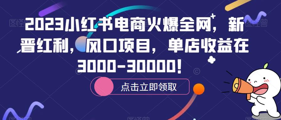 2023小红书电商火爆全网，新晋红利，风口项目，单店收益在3000-30000！ - 副业心选-副业心选