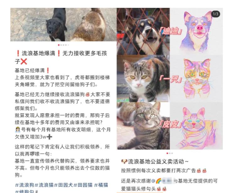 图片[2]-小红书蓝海类赛道：小动物打赏与购买变现副业项目，一条龙玩法分享给你！ - 副业心选-副业心选