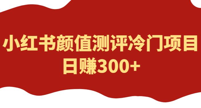 外面1980的项目，小红书颜值测评冷门项目，日赚300+【揭秘】 - 副业心选-副业心选
