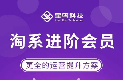 星雪·淘系进阶课程，快速提升突破技能流量瓶颈必备（更新2023年5月） - 副业心选-副业心选