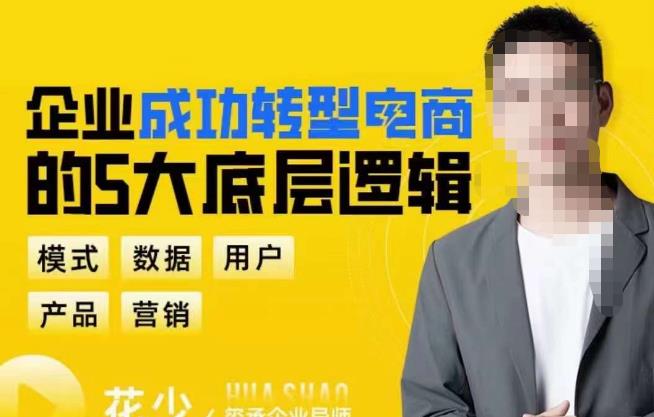 企业成功转型电商的5大底层逻辑，从模式、数据、用户、产品、营销5大板块，助你高效转型电商赛道-副业心选