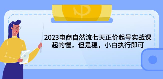 2023电商自然流七天正价起号实战课：起的慢，但是稳，小白执行即可！ - 副业心选-副业心选