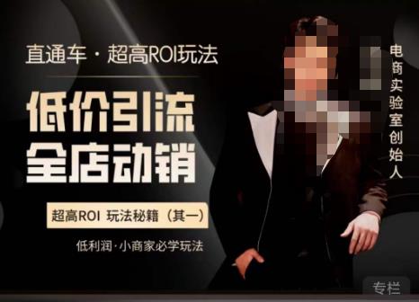 电商冰可乐·直通车·《低价引流·全店动销》，直通车·超高ROI玩法（其一）全店动销必学玩法 - 副业心选-副业心选