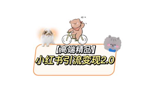 小红书最新引流变现教程，全网最新最详细的视频教程以及素材 - 副业心选-副业心选