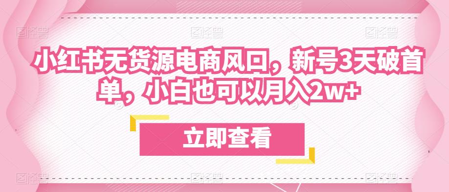 众狼电商余文小红书无货源电商风口，新号3天破首单，小白也可以月入2w+-副业心选