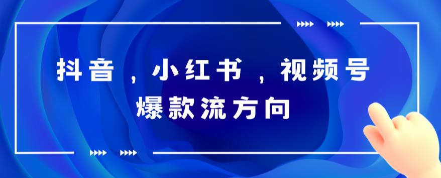抖音，小红书，视频号爆款流视频制作，简单制作掌握流量密码-副业心选