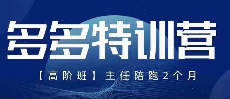 纪主任·5月最新多多特训营高阶班，玩法落地实操，多多全掌握-副业心选