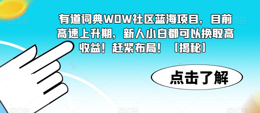 有道词典WOW社区蓝海项目，目前高速上升期，新人小白都可以换取高收益！赶紧布局！【揭秘】 - 副业心选-副业心选
