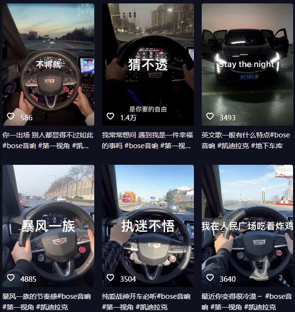 图片[2]-抖音开车视频项目，0基础操作，每天五分钟，月入1W+【揭秘】 - 副业心选-副业心选