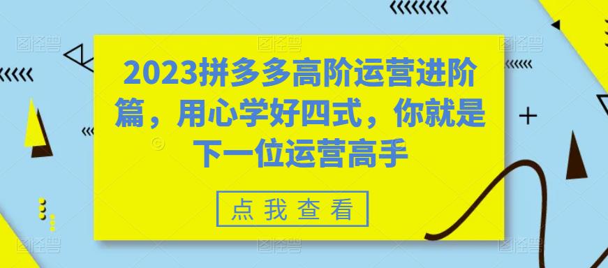 2023拼多多高阶运营进阶篇，用心学好四式，你就是下一位运营高手-副业心选