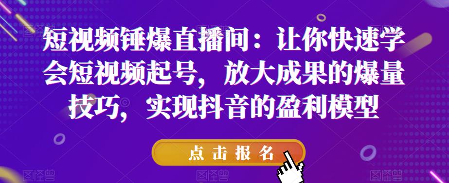 短视频锤爆直播间：让你快速学会短视频起号，放大成果的爆量技巧，实现抖音的盈利模型 - 副业心选-副业心选