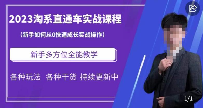 2023淘系直通车保姆式运营讲解，新手如何从0快速成长实战操作，新手多方位全能教学 - 副业心选-副业心选
