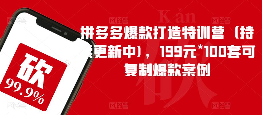 拼多多爆款打造特训营（持续更新中)，199元*100套可复制爆款案例-副业心选