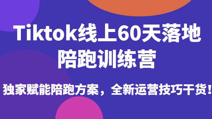 Tiktok线上60天落地陪跑训练营，独家赋能陪跑方案，全新运营技巧干货-副业心选