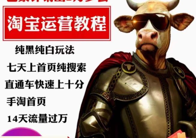猫老师·淘系算法逆向解密，​纯黑纯白玩法，七天上首页纯搜索，手淘首页14天流量过万 - 副业心选-副业心选