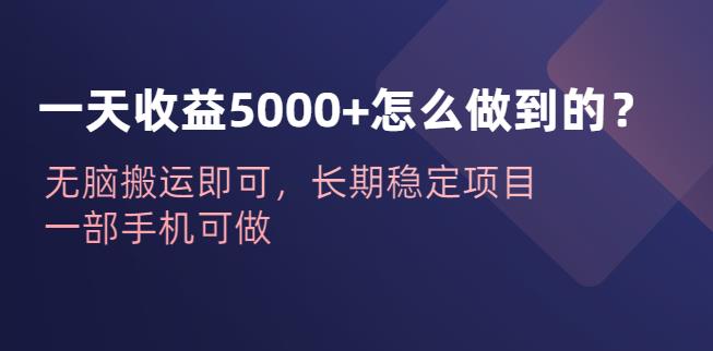 一天收益5000+怎么做到的？无脑搬运即可，长期稳定项目，一部手机可做【揭秘】 - 副业心选-副业心选