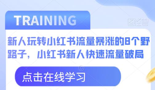 新人玩转小红书流量暴涨的8个野路子，小红书新人快速流量破局 - 副业心选-副业心选