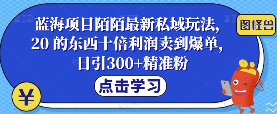 蓝海项目陌陌最新私域玩法，20 的东西十倍利润卖到爆单，日引300+精准粉【揭秘】 - 副业心选-副业心选