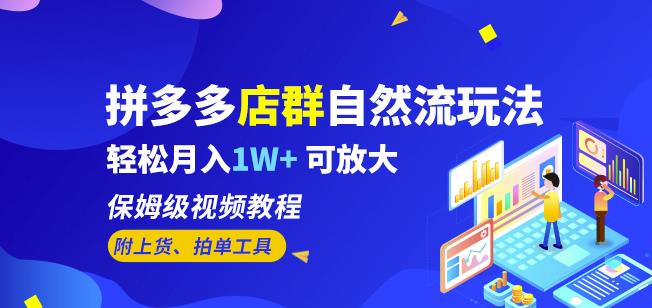 拼多多店群自然流玩法，轻松月入1W+保姆级视频教程（附上货、拍单工具） - 副业心选-副业心选