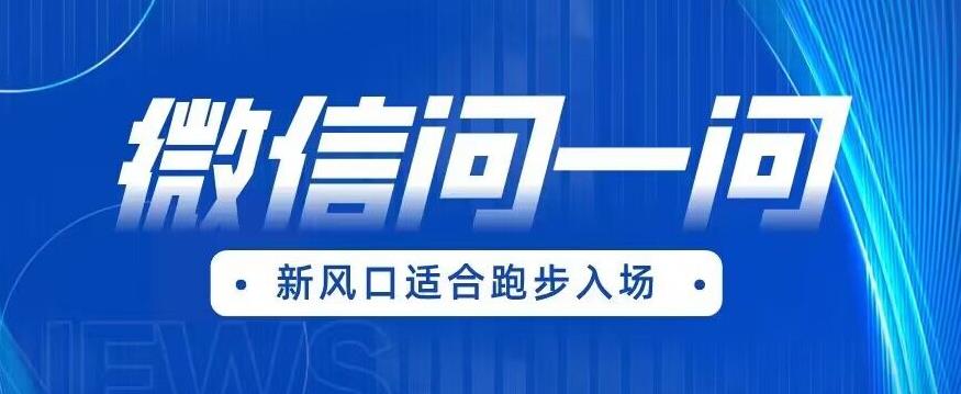 全网首发微信问一问新风口变现项目（价值1999元）【揭秘】 - 副业心选-副业心选
