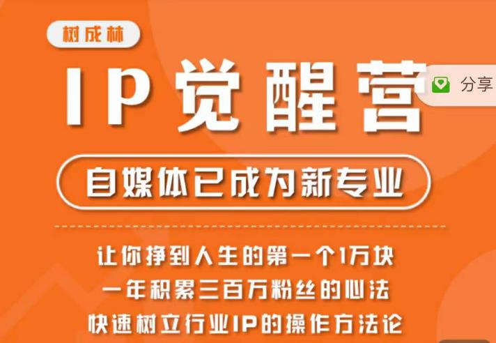 树成林·IP觉醒营，快速树立行业IP的操作方法论，让你赚到人生的第一个1万块（更新）-副业心选