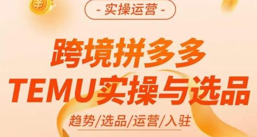 伍跃·跨境拼多多TEMU实操与选品，​趋势/选品/运营/入住（27节完整） - 副业心选-副业心选
