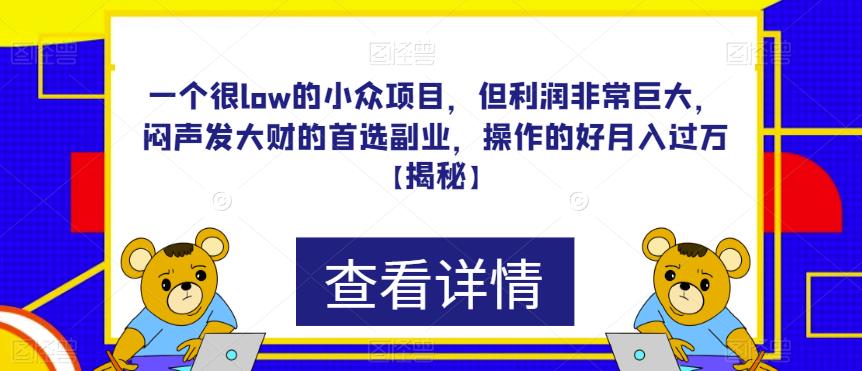 一个很low的小众项目，但利润非常巨大，闷声发大财的首选副业，操作的好月入过万【揭秘】-副业心选