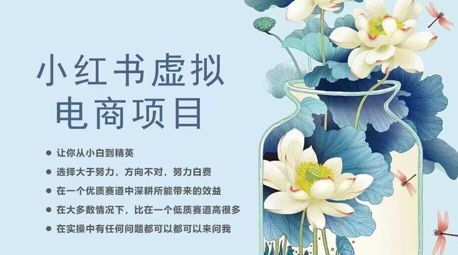 小红书虚拟电商从0到1，让你从小白到精英（20节实操课程）-副业心选