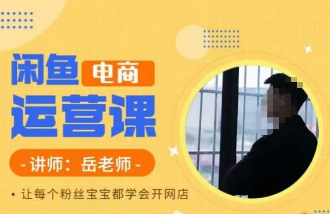 岳老师·闲鱼电商运营课，让每个粉丝宝宝都学会开网店 - 副业心选-副业心选