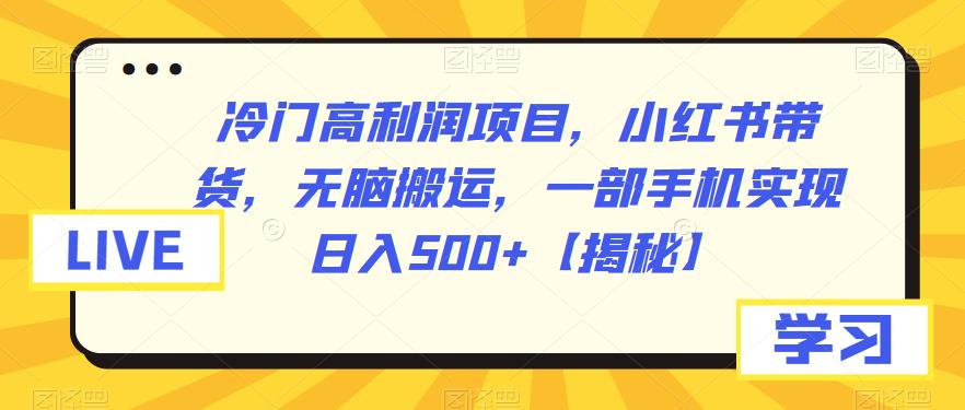 冷门高利润项目，小红书带货，无脑搬运，一部手机实现日入500+【揭秘】 - 副业心选-副业心选