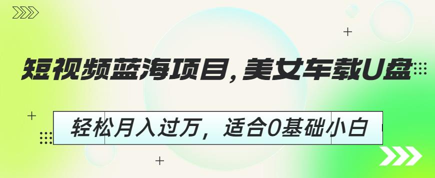 短视频蓝海项目，美女车载U盘，轻松月入过万，适合0基础小白【揭秘】-副业心选