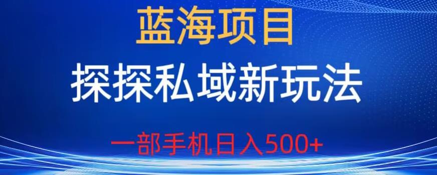 蓝海项目，探探私域新玩法，一部手机日入500+很轻松【揭秘】 - 副业心选-副业心选