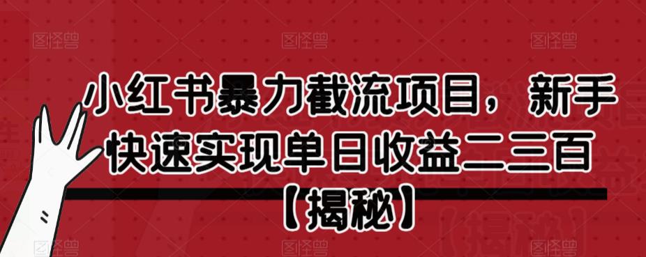 小红书暴力截流项目，新手快速实现单日收益二三百【仅揭秘】 - 副业心选-副业心选