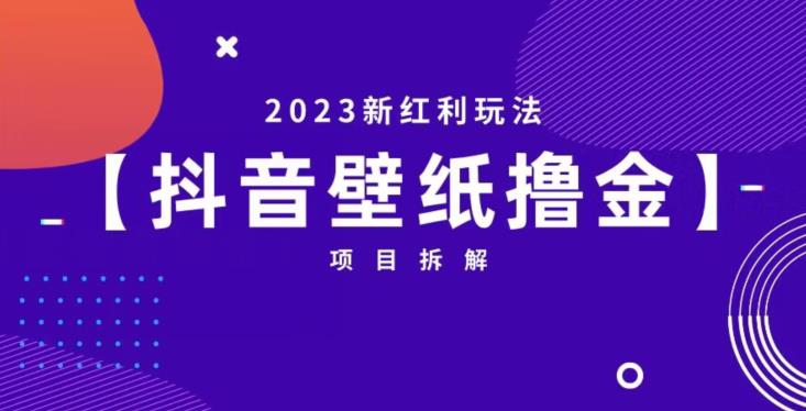 抖音壁纸小程序创作者撸金项目，2023新红利玩法【项目拆解】 - 副业心选-副业心选