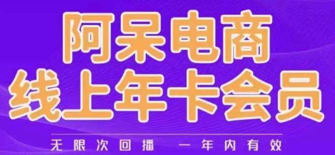 阿呆电商线上年会员，阿呆电商干货分享（更新中） - 副业心选-副业心选