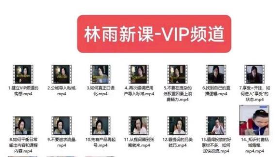 林雨新课VIP频道，玩赚私域/朋友圈/社群 - 副业心选-副业心选