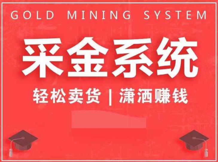 采金系统2.0，私域成交，快速成交收钱，轻松卖货，业绩暴涨，潇洒赚钱 - 副业心选-副业心选