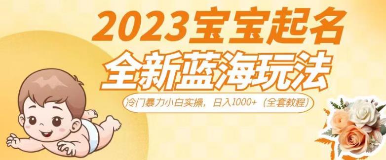 2023宝宝起名全新蓝海玩法，冷门暴力小白实操，日入1000+（全套教程）【揭秘】-副业心选