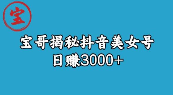 宝哥揭秘抖音美女号玩法，日赚3000+【揭秘】 - 副业心选-副业心选