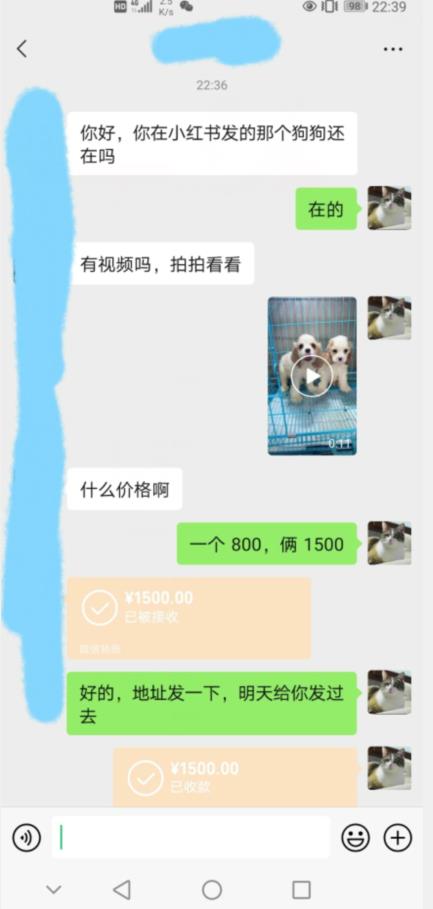 图片[2]-外边收费3980的同城萌宠项目，用最冷门的玩法冲击最热门的市场【揭秘】 - 副业心选-副业心选