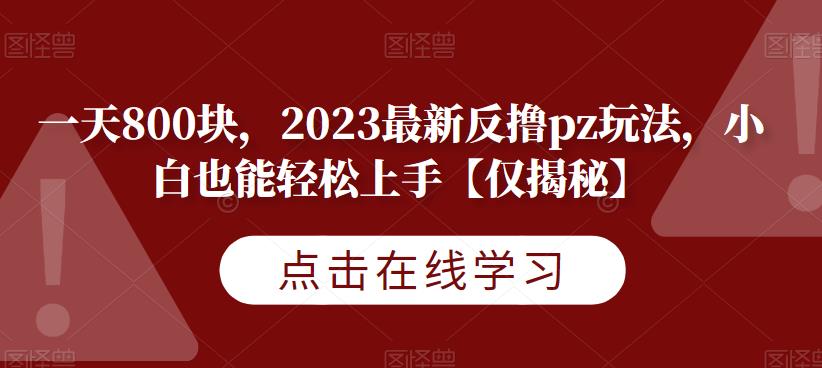 一天800块，2023最新反撸pz玩法，小白也能轻松上手【仅揭秘】 - 副业心选-副业心选