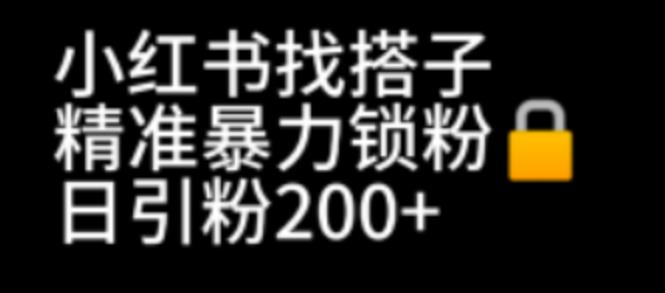 小红书找搭子暴力精准锁粉+引流日引200+精准粉 - 副业心选-副业心选