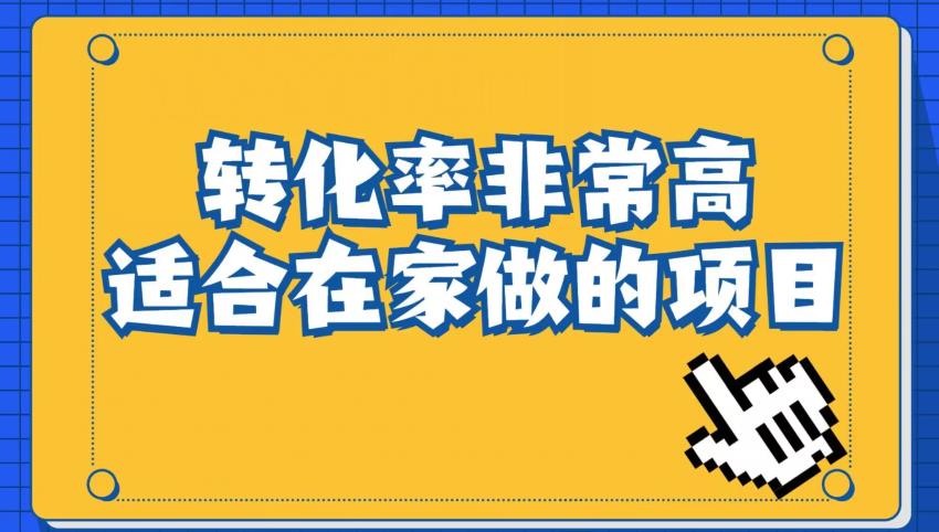 小红书虚拟电商项目：从小白到精英（视频课程+交付手册）-副业心选